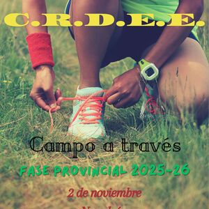 FINAL PROVINCIAL ESCOLAR DE CAMPO A TRAVÉS TOLEDO